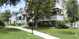 20313 Rue Crevier #569 20313 Rue Crevier #569 Photo Gallery 1