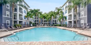 Vue Tampa Vue Tampa Photo Gallery 1
