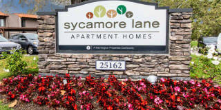 Sycamore Lane Sycamore Lane Photo Gallery 1