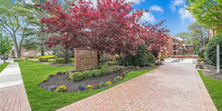 99 S Park Avenue 99 S Park Avenue Photo Gallery 1