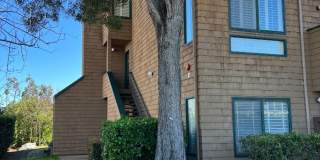 72 Cove LN 72 Cove LN Photo Gallery 1