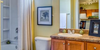 Discovery at Mountain View Apartments Discovery at Mountain View Apartments Photo Gallery 1