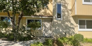 14939 Campus Park Drive #B 14939 Campus Park Drive #B Photo Gallery 1