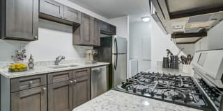Chelsea Apartments Chelsea Apartments Photo Gallery 1