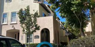 2162 Silverado Street 2162 Silverado Street Photo Gallery 1