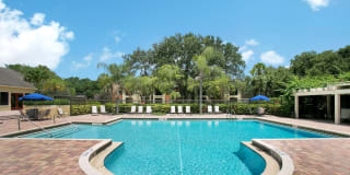 Turtle Cove Turtle Cove Photo Gallery 1