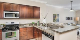 The Pointe Apartment Homes The Pointe Apartment Homes Photo Gallery 1