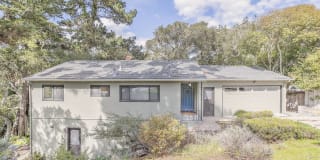 3818 Window to the Woods 3818 Window to the Woods Photo Gallery 1