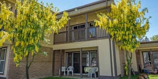 439 Ala Wai Blvd. #103 439 Ala Wai Blvd. #103 Photo Gallery 1