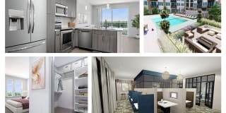 Passport Apartments Passport Apartments Photo Gallery 1
