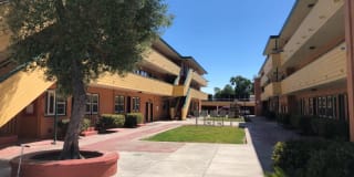 2567 Foothill Blvd 221 2567 Foothill Blvd 221 Photo Gallery 1