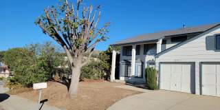 1430 Deerfoot Drive 1430 Deerfoot Drive Photo Gallery 1