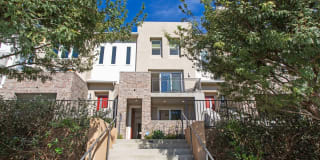 6002 Colt Place #103 6002 Colt Place #103 Photo Gallery 1