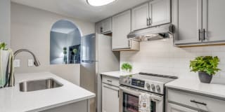 Mateo Apartment Homes Mateo Apartment Homes Photo Gallery 1