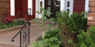 114-20 Queens Boulevard 114-20 Queens Boulevard Photo Gallery 1