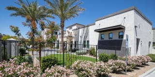 Acero Estrella Commons Acero Estrella Commons Photo Gallery 1