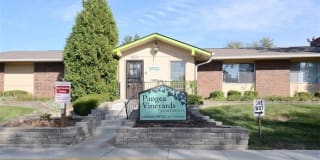 Pangea Vineyards Pangea Vineyards Photo Gallery 1