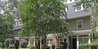 Avenue Avenue Photo Gallery 1