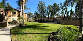 930 S. Palmetto Ave Apt 15 930 S. Palmetto Ave Apt 15 Photo Gallery 1