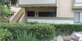 9269 Village Glen Drive #128 9269 Village Glen Drive #128 Photo Gallery 1