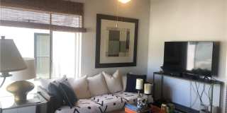504 Marigold .5 504 Marigold .5 Photo Gallery 1