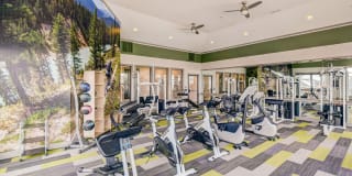 Champions Apartments Champions Apartments Photo Gallery 1