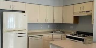 4501 Bergenwood Avenue 4501 Bergenwood Avenue Photo Gallery 1