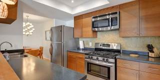 1552 S CAMINO REAL 1552 S CAMINO REAL Photo Gallery 1