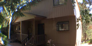 2450 Whispering Pines 2450 Whispering Pines Photo Gallery 1