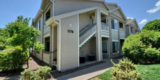 1176 Opal Street #203 1176 Opal Street #203 Photo Gallery 1