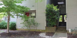 808 Colley Avenue #3A 808 Colley Avenue #3A Photo Gallery 1