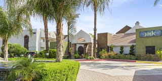 Jade Scottsdale Jade Scottsdale Photo Gallery 1