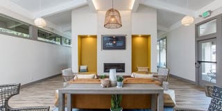 Shadow Cove Shadow Cove Photo Gallery 1