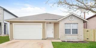 6527 Highland Grass 6527 Highland Grass Photo Gallery 1