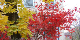 1439 Sandusky St 1439 Sandusky St Photo Gallery 1
