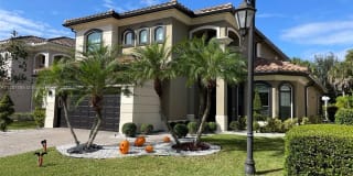 8171 Canopy Ter 8171 Canopy Ter Photo Gallery 1
