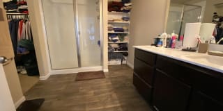 15004 Custis Lane 15004 Custis Lane Photo Gallery 1
