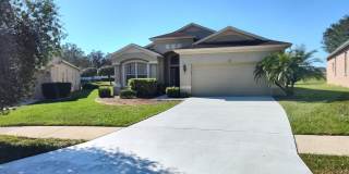 317 DOWN PINE DRIVE 317 DOWN PINE DRIVE Photo Gallery 1