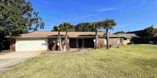 3992 Spanish Moss Cv 3992 Spanish Moss Cv Photo Gallery 1