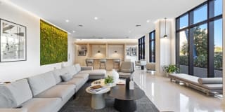 First Apartments First Apartments Photo Gallery 1
