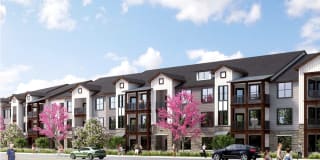 THE RILEY APARTMENTS THE RILEY APARTMENTS Photo Gallery 1