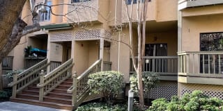 1907 Magdalena CircleApt 41 1907 Magdalena CircleApt 41 Photo Gallery 1
