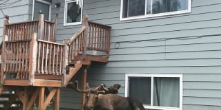 3782 W 84th Ave #B 3782 W 84th Ave #B Photo Gallery 1