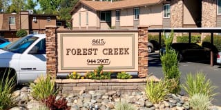 Hillgrove Creek Hillgrove Creek Photo Gallery 1
