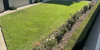750 West Bonita Avenue 750 West Bonita Avenue Photo Gallery 1