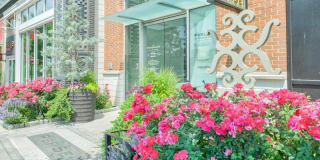 Per Sei at Pike and Rose Per Sei at Pike and Rose Photo Gallery 1