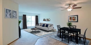 Dove Tree Dove Tree Photo Gallery 1