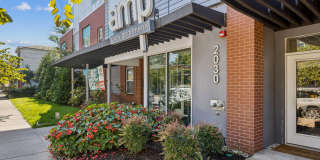 AMP Luxury Apartments