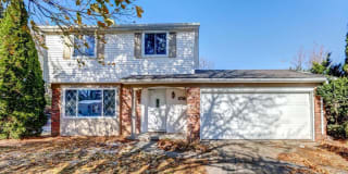 8718 Buckskin 8718 Buckskin Photo Gallery 1