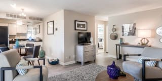 Nuvo Nuvo Photo Gallery 1